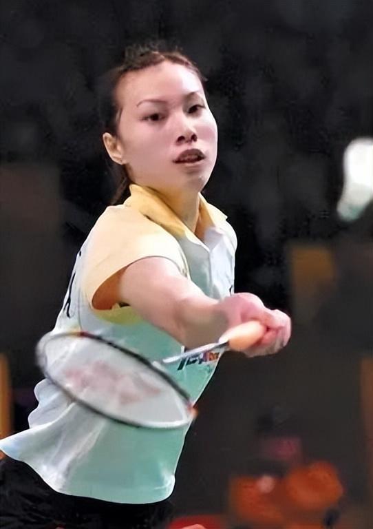 正如许多媒 正如许多媒